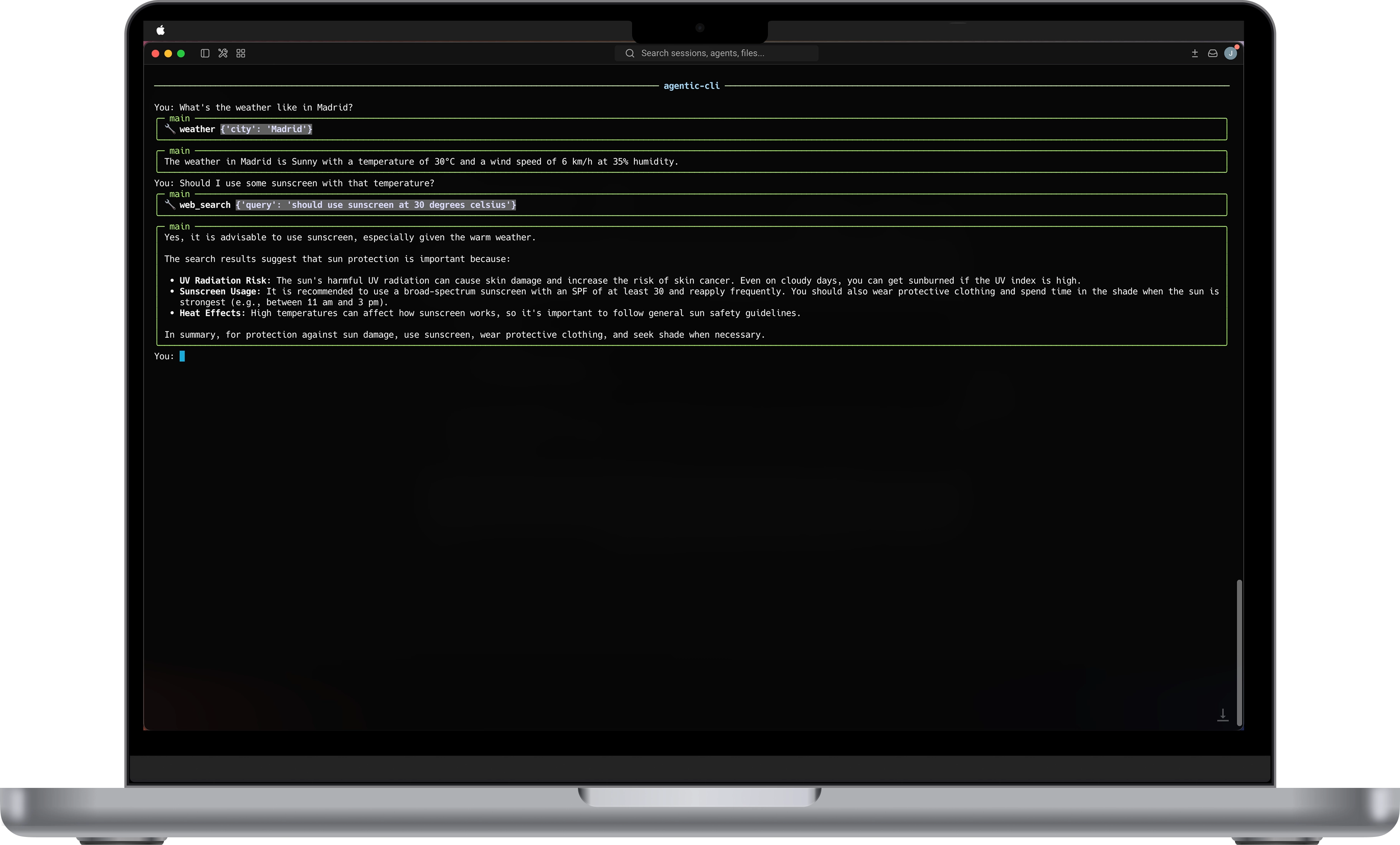 agentic-cli project